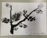 303-27李珊綺