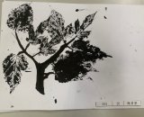 303-26陳羿寧