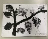 303-11李衡宣