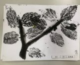 303-08黃雋勝