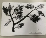 303-06林旻誼