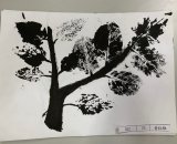 302-25黃鈺雅