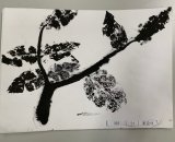 302-24劉亞欣