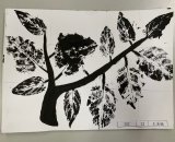 302-23王采榆