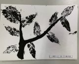 302-21黄予葇