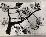 302-11范曜鵬