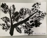 302-07梁正翰