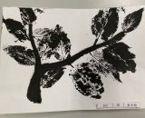302-06蔡承翰