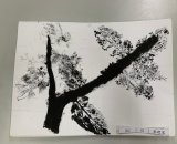 302-01蔡建宸