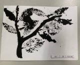 301-28張育瑄