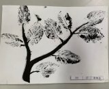 301-27鄭娜亞
