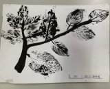 301-23潘歆媛
