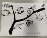301-12王胤丞