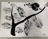 301-11黃甯絃