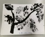301-04黃品嘉