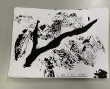 301-01許菖皓